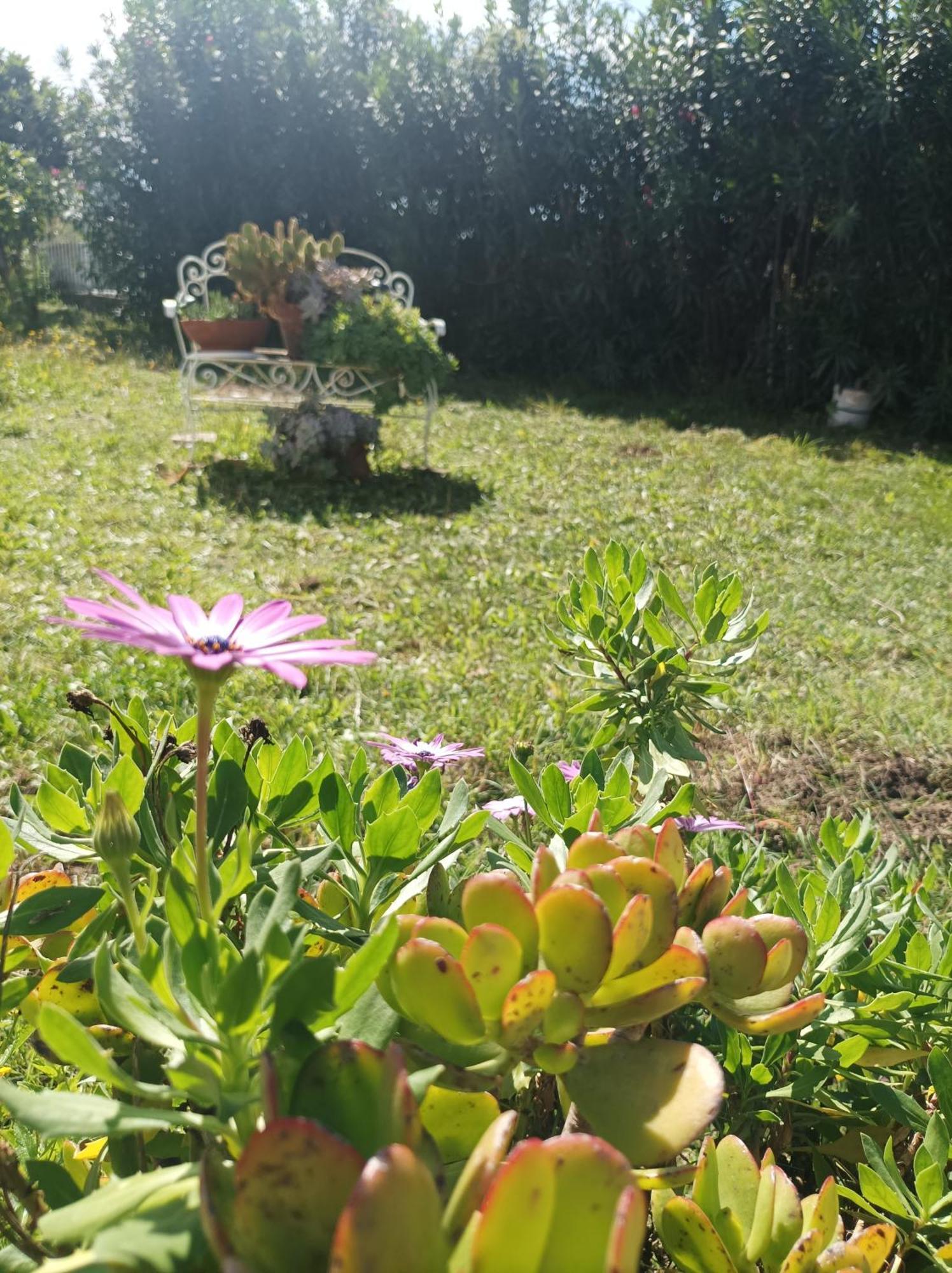 Villa Giardino Degli Oleandri Palinuro Εξωτερικό φωτογραφία